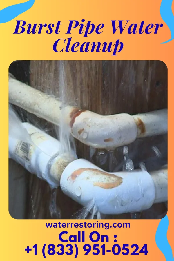 Burst Pipe Water Cleanup in Huntsville, OH