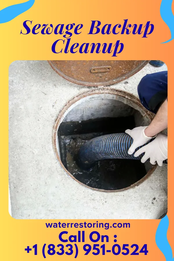 Sewage Backup Cleanup in Huntsville, OH