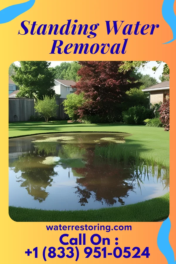 Standing Water Removal in Huntsville, OH